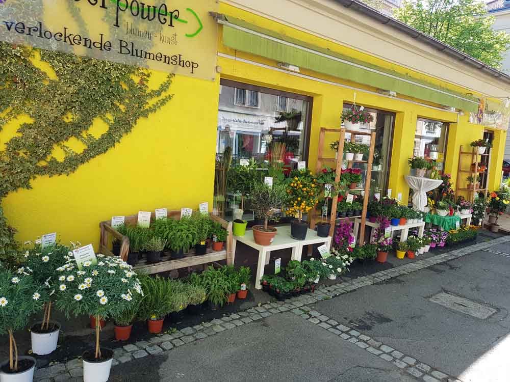 Hasnerplatz