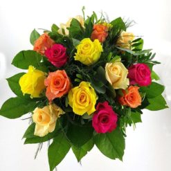 Bunte Rosenfreude