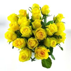 20 gelbe Rosen