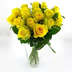 Rosen 20 Gelb Hoch