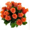 20 orange Rosen
