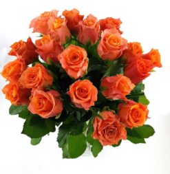 20 orange Rosen