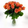 Rosen 20 Orange Hoch