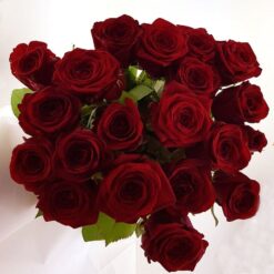 20 rote Rosen