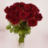 Roses 20 Red High
