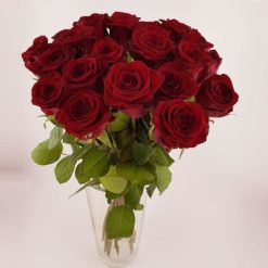 Rosen 20 Rot Hoch