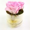 Ewige Rosen 3er Rosa