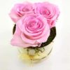 Ewige Rosen 3er Rosa2