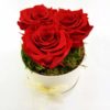 Ewige Rosen 3er Rot2