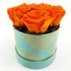 Ewige Rosen 6er Orange