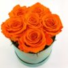 Ewige Rosen 6er Orange2