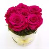 Ewige Rosen 6er Pink