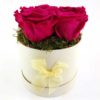 Ewige Rosen 6er Pink2