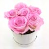 Ewige Rosen 6er Rosa2