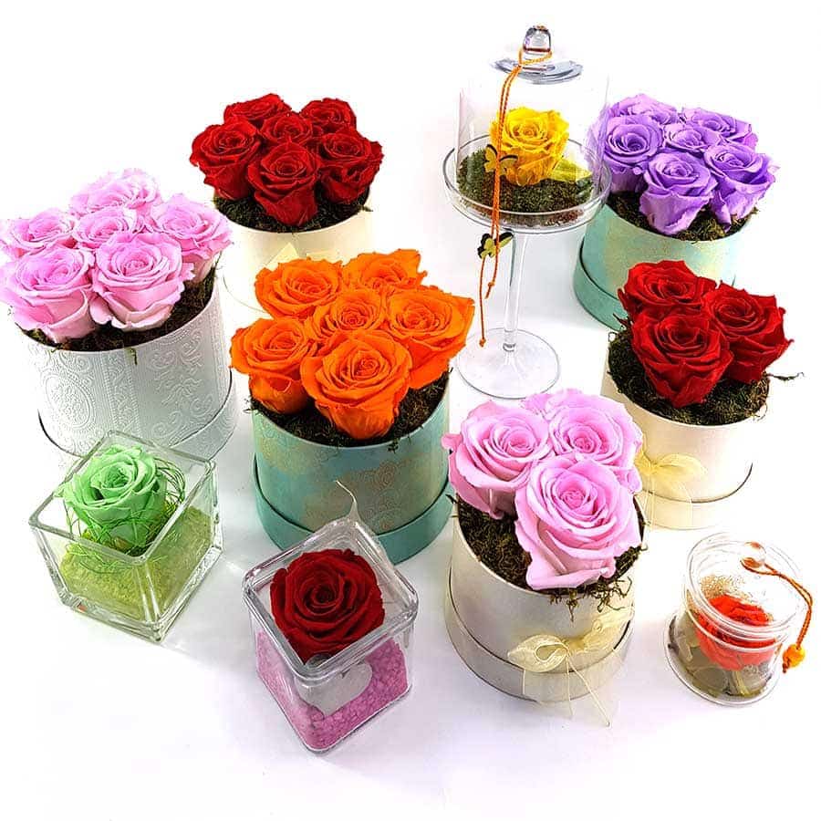 Eternal Roses Group 2