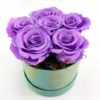 Ewige Rosen Lilia
