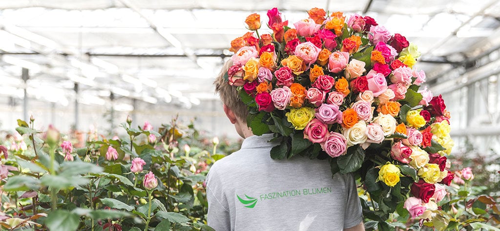 Heimische Blumen Rosen Wallner