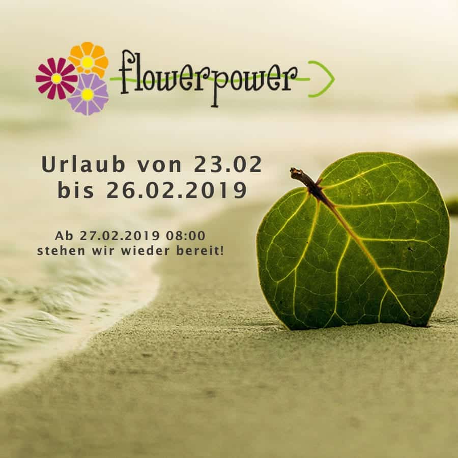 Vacation - we're recharging our batteries