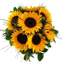 Sonnenblumenstrauß