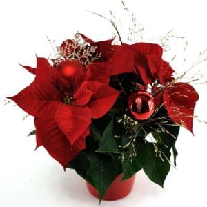 Reopening on December 7th!