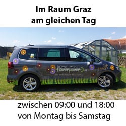 Zustellung Neu