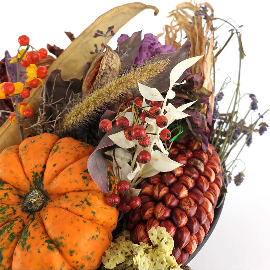 Autumn is bursting with color