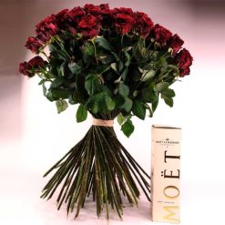 Imperiale Liebe Package 100