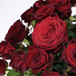 Rosen Red Naomi Detail