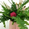 Pink Face Pot Fern Detail 2