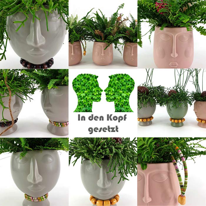 Put in your head overview