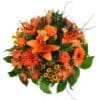 Orange Dream