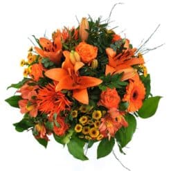 Orange Dream