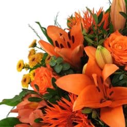 Orange Dream Detail