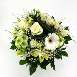 Noblesse Blanche