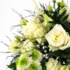 Noblesse Blanche Detail
