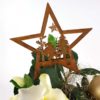 Christmas Rose Star Detail