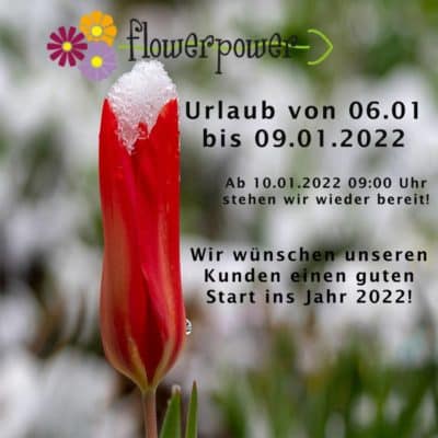 Urlaub ab 06. Jänner
