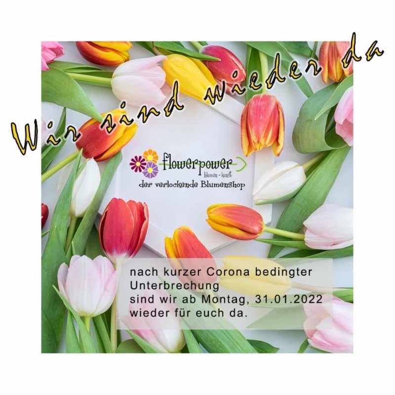 Wieder Da Wordpress