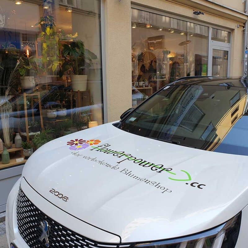 Geringfügig aufblühen