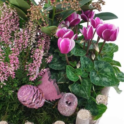 Korb Calluna Cyclame Detail