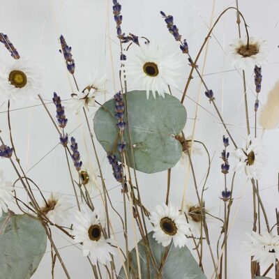 Loop Lavendel Strohblumen Detail