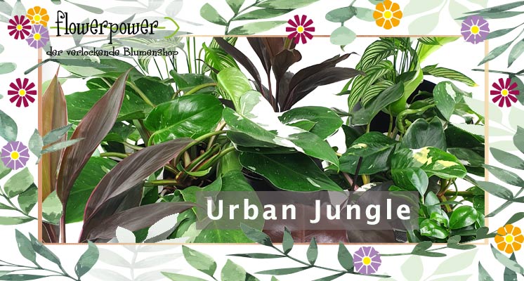 BT Urbanjungle