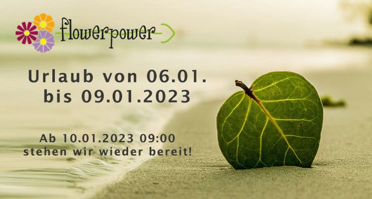 Holiday from 01/06/2023