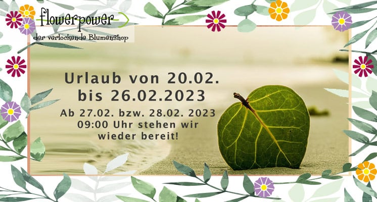 We are on vacation in February