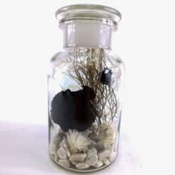 Apothekerglas Black Beauty
