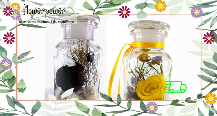 Zuwachs in der Infinity-Rosen Familie