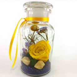 Apothekerglas Infinity Sun