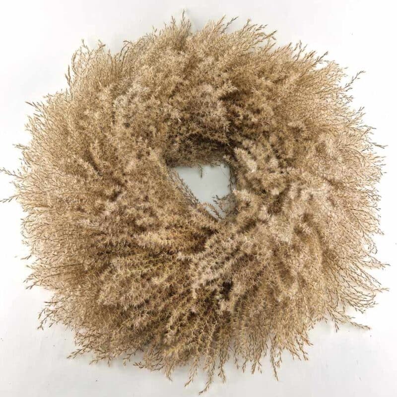 Miscanthus Wreath