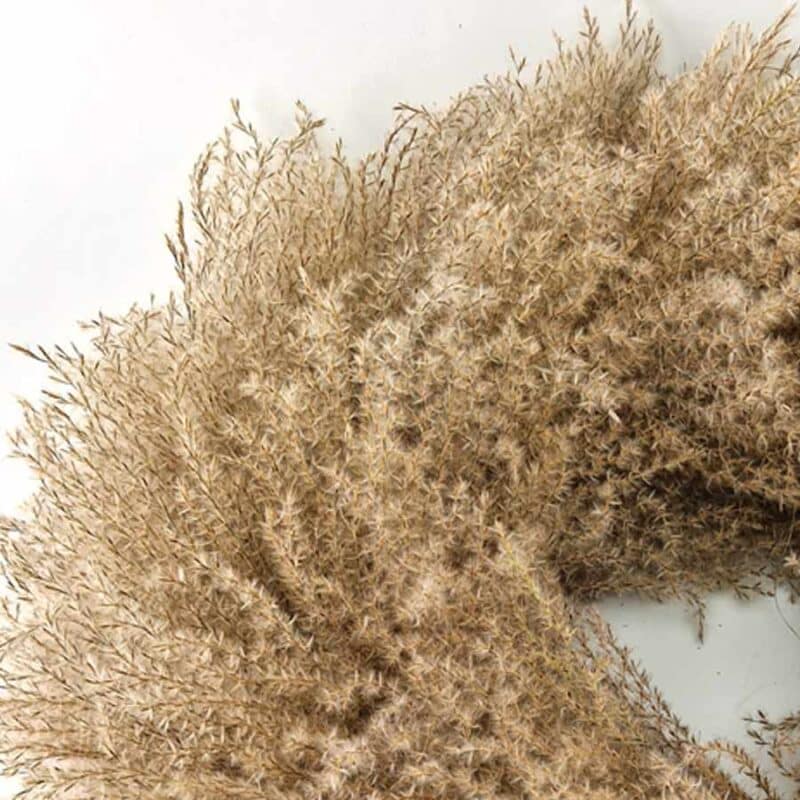 Miscanthus Wreath 2