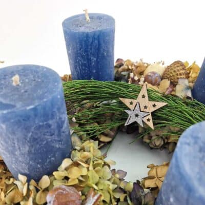 Advent Hortensien Blau 2